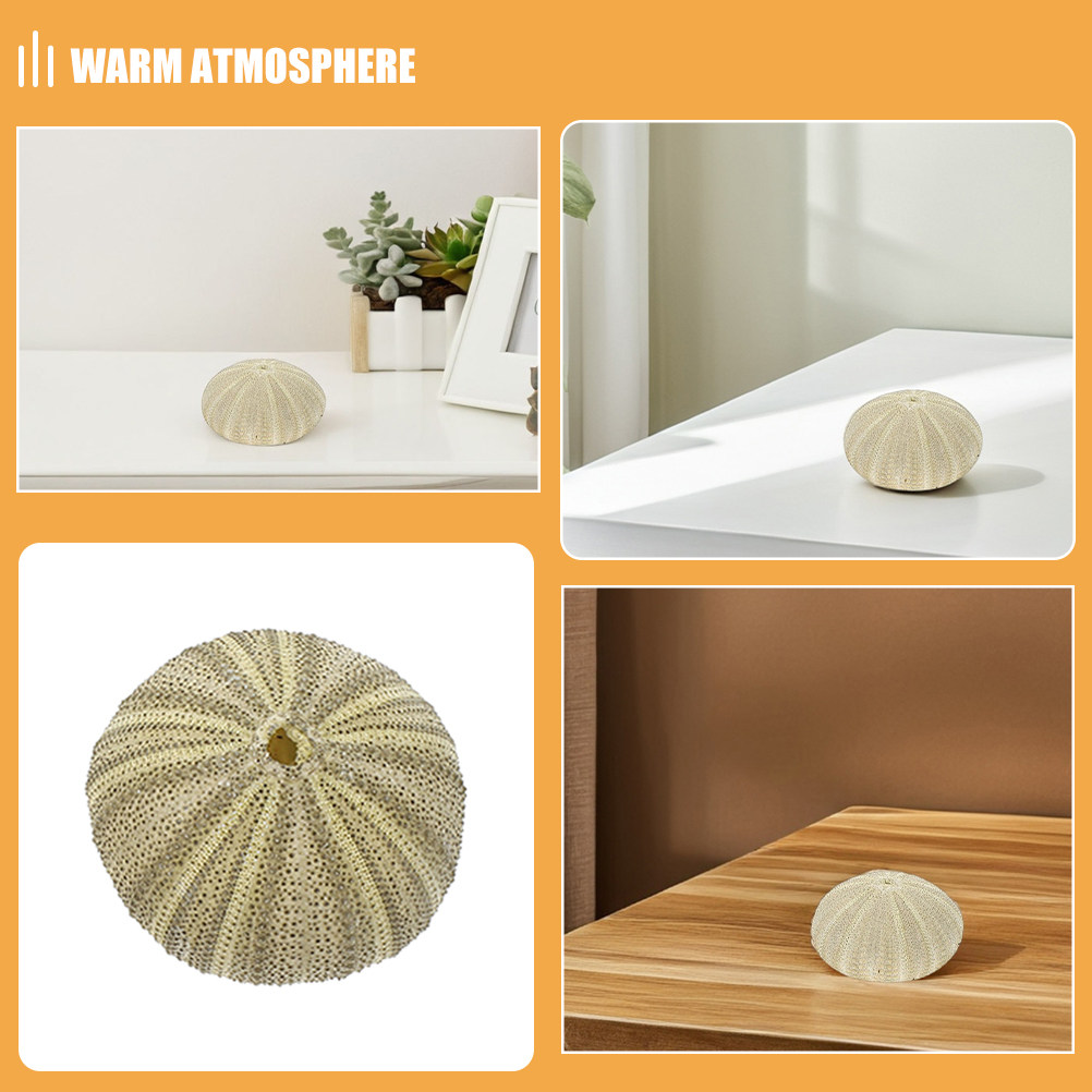 18Pcs Urchin Shells Vase Fille - огляд і ціна Art Craft Vase