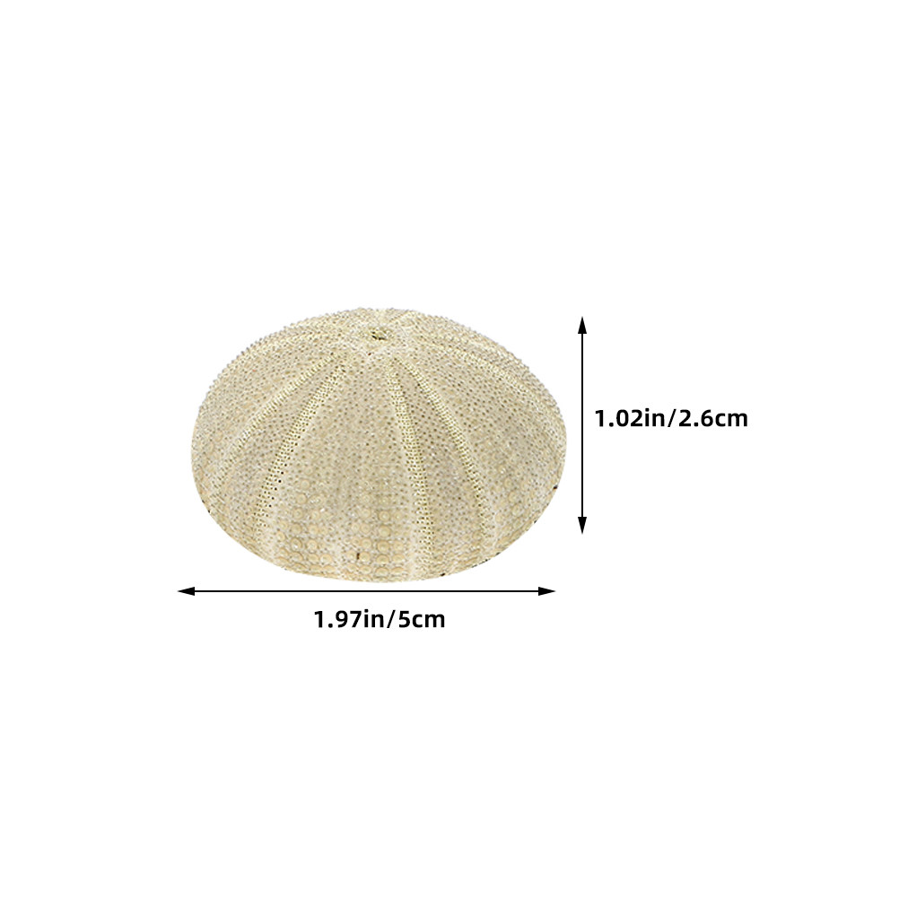 18Pcs Urchin Shells Vase Fille - огляд і ціна Art Craft Vase
